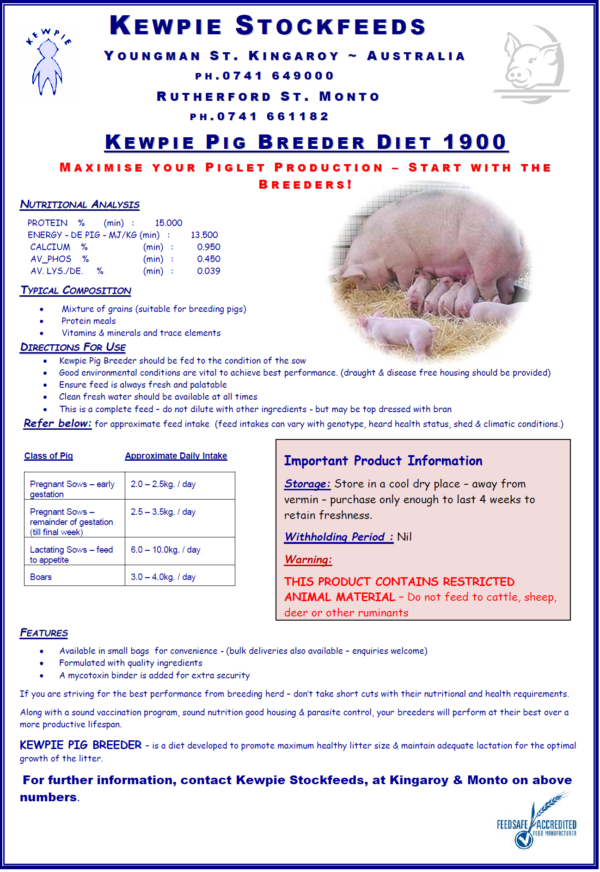 Kewpie Pig Breeder 1900